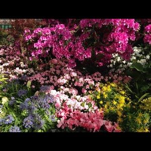 Meet your Posher, Anais